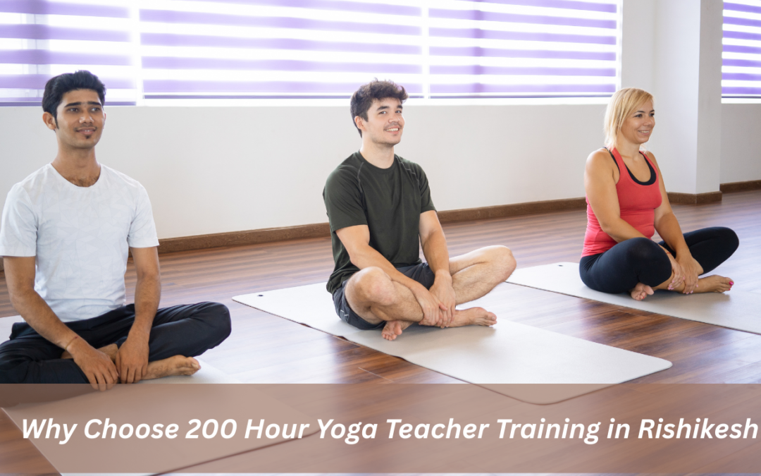 Why Choose 200 Hour Yoga Teacher Training in Rishikesh?