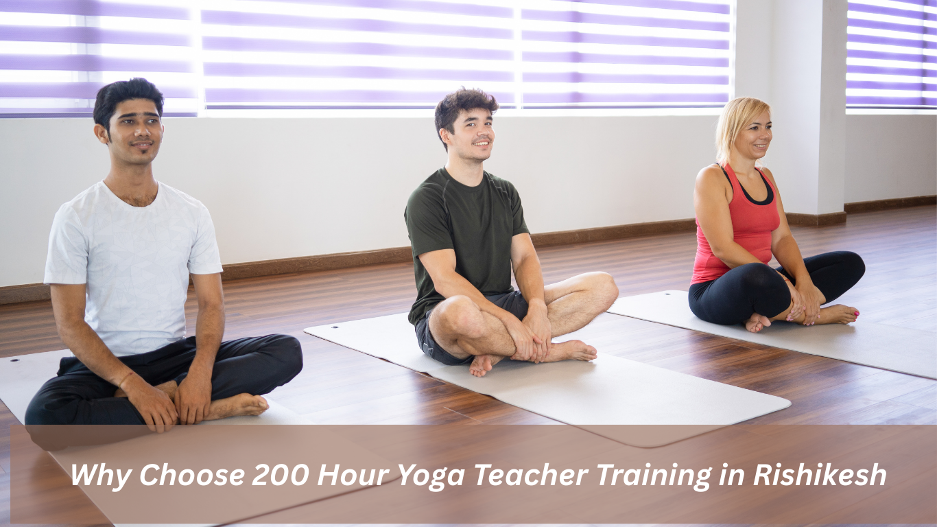 200 Hour Yoga Teacher Training in Rishikesh,