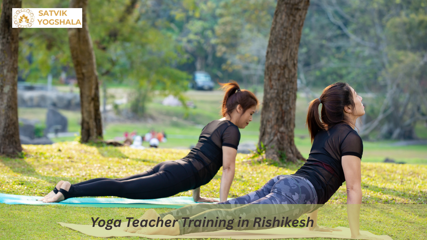 Yoga Teacher Training in Rishikesh